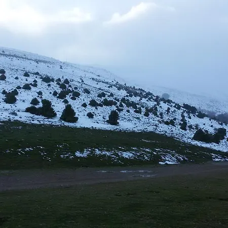 Murru