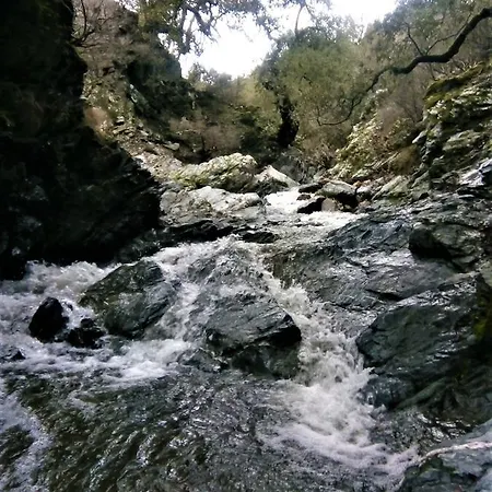 Murru